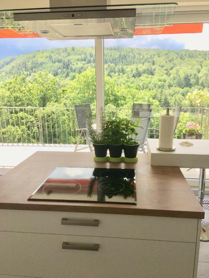 Apartment Am Kupferhammer بفورتسهايم المظهر الخارجي الصورة